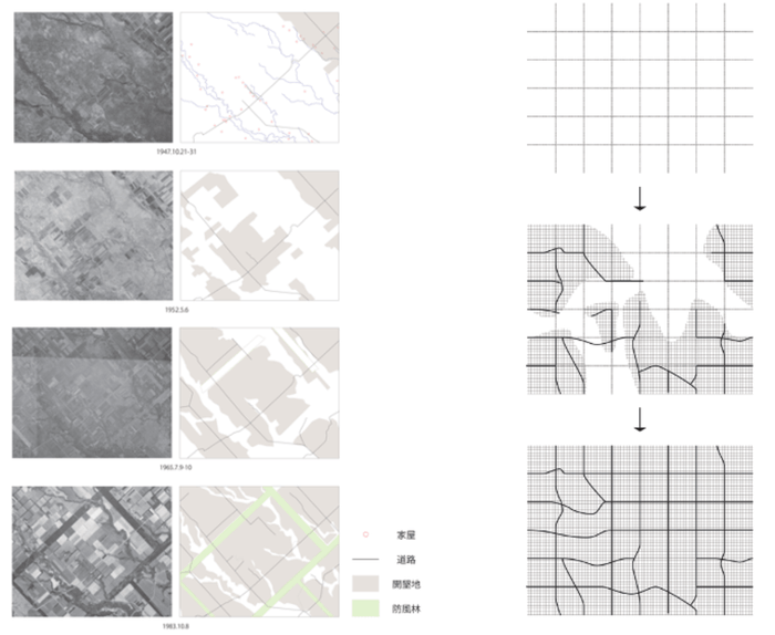 格子状防風林形成過程