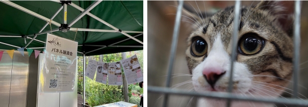 むさしの地域猫の会