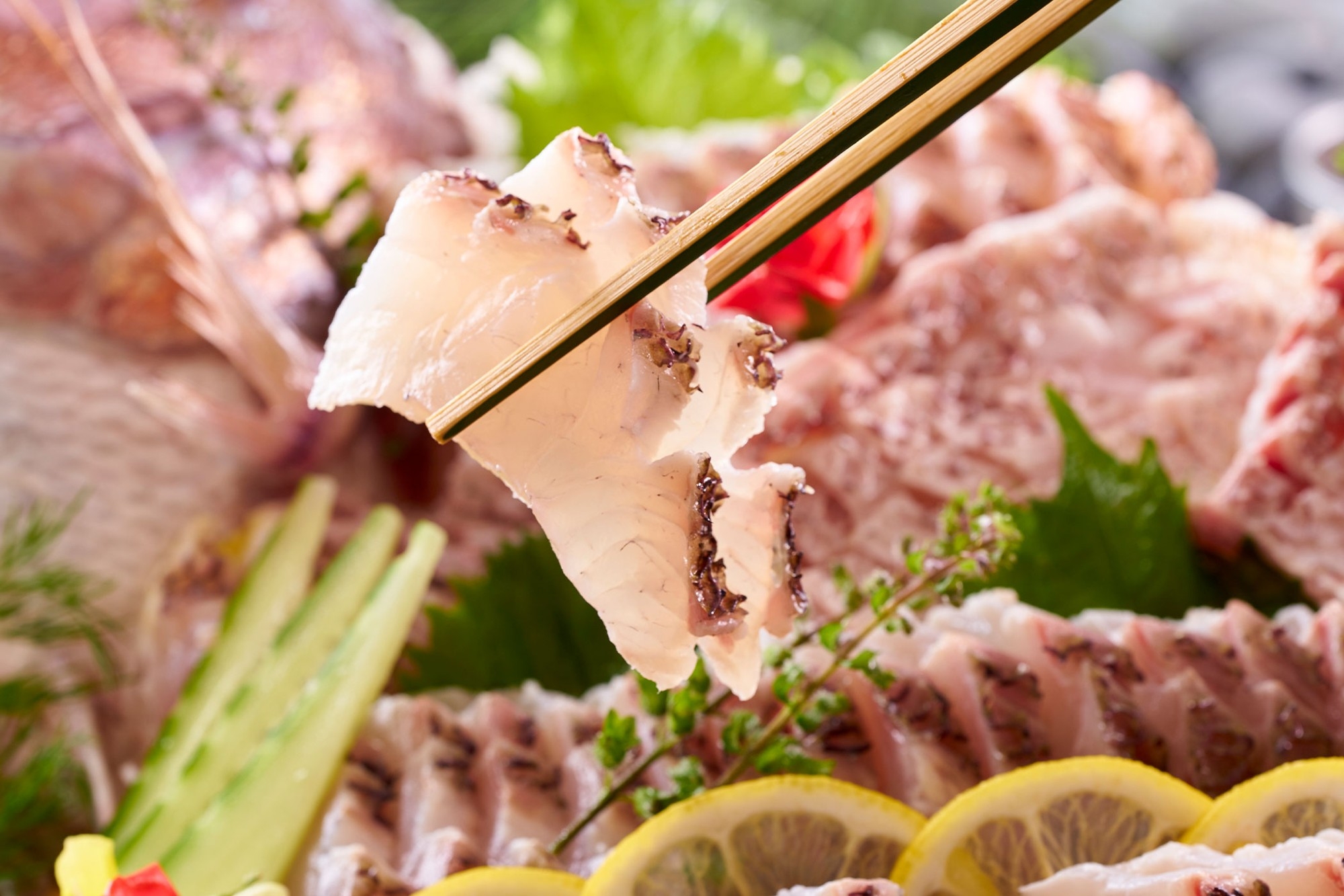 四国産鯛のお造り(ホテルレオマの森)
