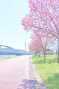 mmnk_chan撮影場所:汐入公園