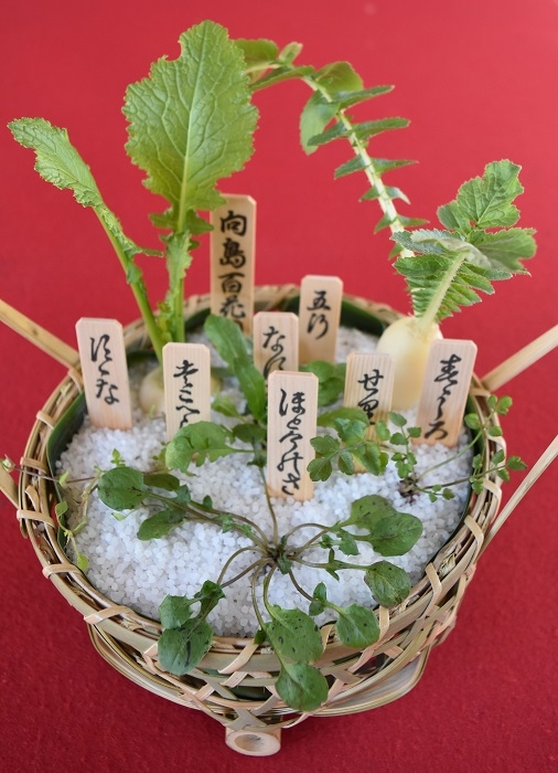 春の七草(イメージ)