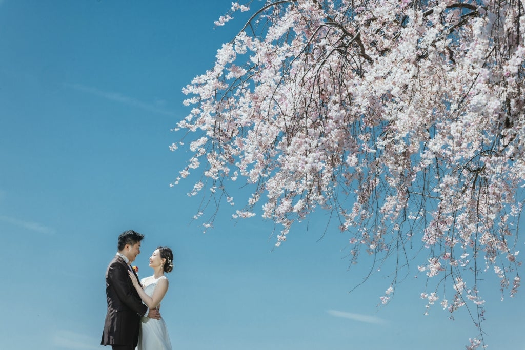 撮影:石橋 英祐