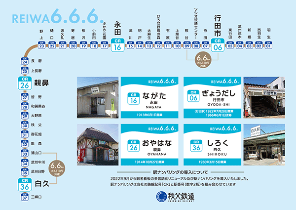 台紙裏面 イメージ