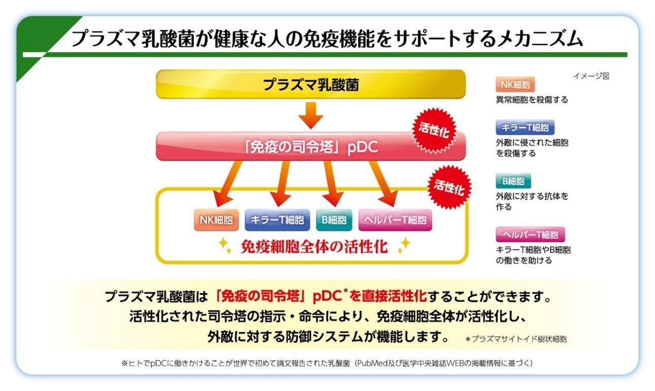 図1 プラズマ乳酸菌が健康な人の免疫機能をサポートするメカニズム