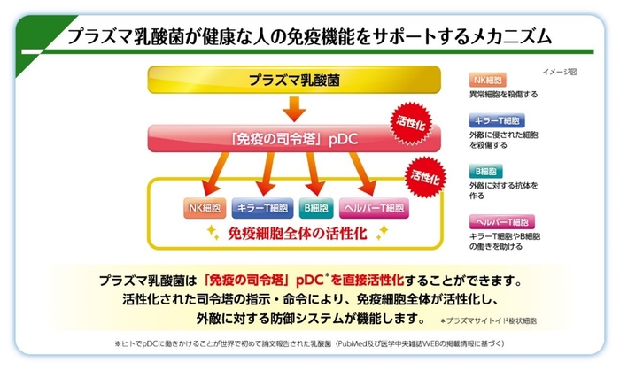 図1 プラズマ乳酸菌が健康な人の免疫機能をサポートするメカニズム