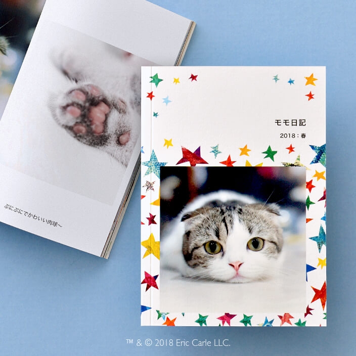 表紙に写真を入れたら気分は絵本の主人公!