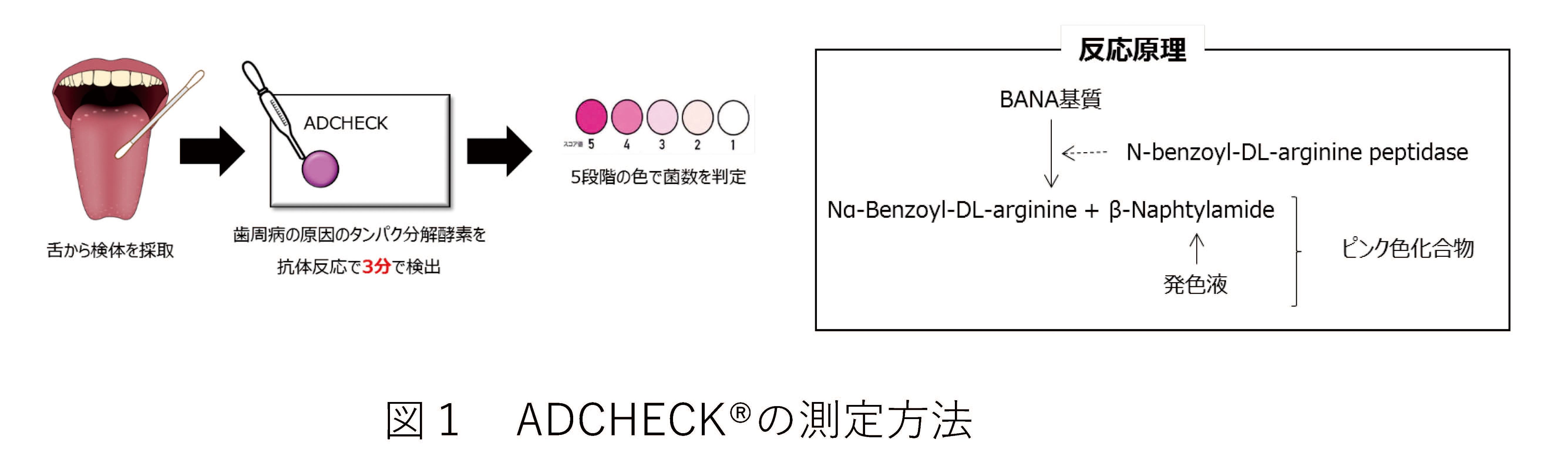図1 ADCHECK(R)の測定方法