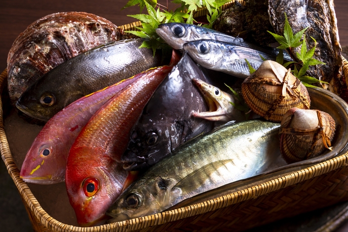夏が旬の魚介[一例]