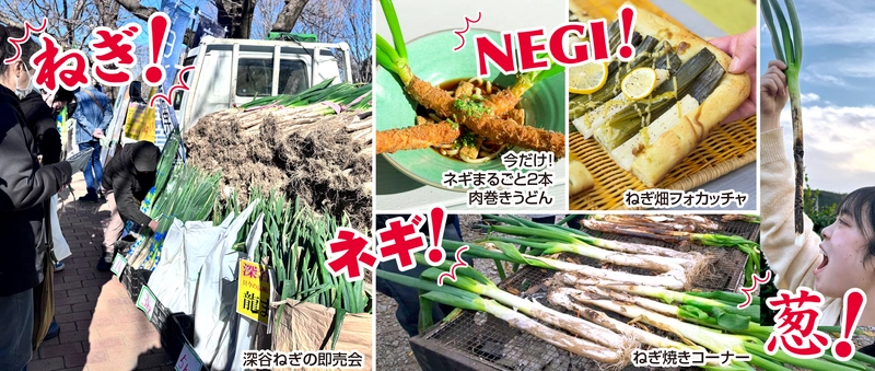 ＜道の駅おがわまち＞11月22日～24日・29日・30日の限定開催！ ネギで、ネギらう、ネギ尽くしの5日間 【埼玉県産深谷ねぎ大収穫祭】