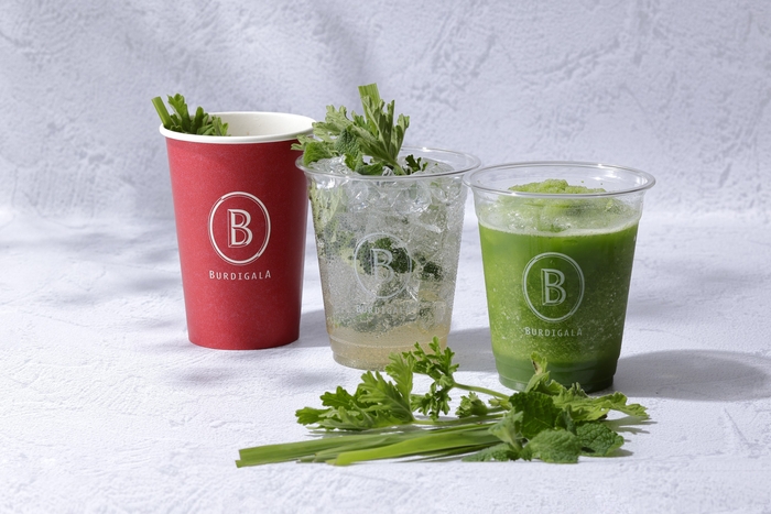 フレッシュハーブティー ブルディガラ