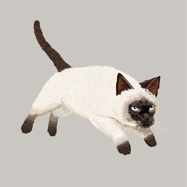 猫専門イラストレーター Coony(クーニー)