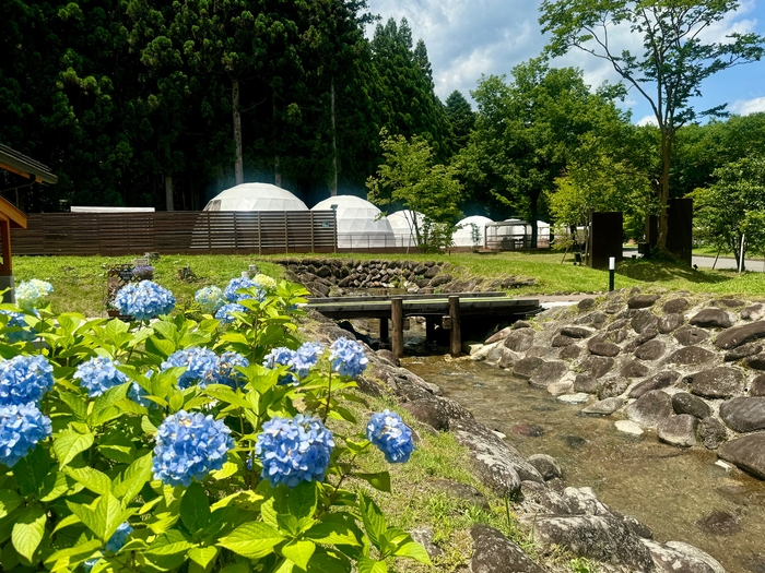滝と小川のせせらぎ、リラックスできる自然風景