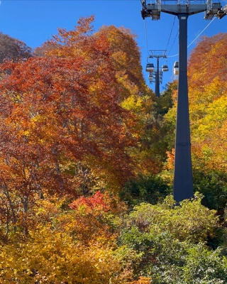 紅葉の絶景を楽しんで。ゴンドラ運行延長決定～11月6日(日) 白馬五竜高山植物園