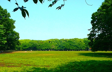 都立代々木公園における夜間利用促進イベント企画を募集します【申請書類の受付は令和7年６月６日(金)正午まで】