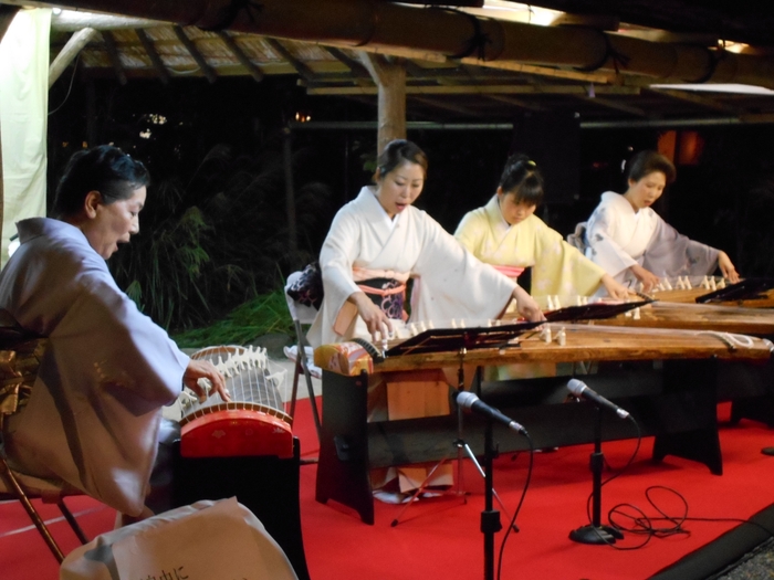 箏の演奏(イメージ)