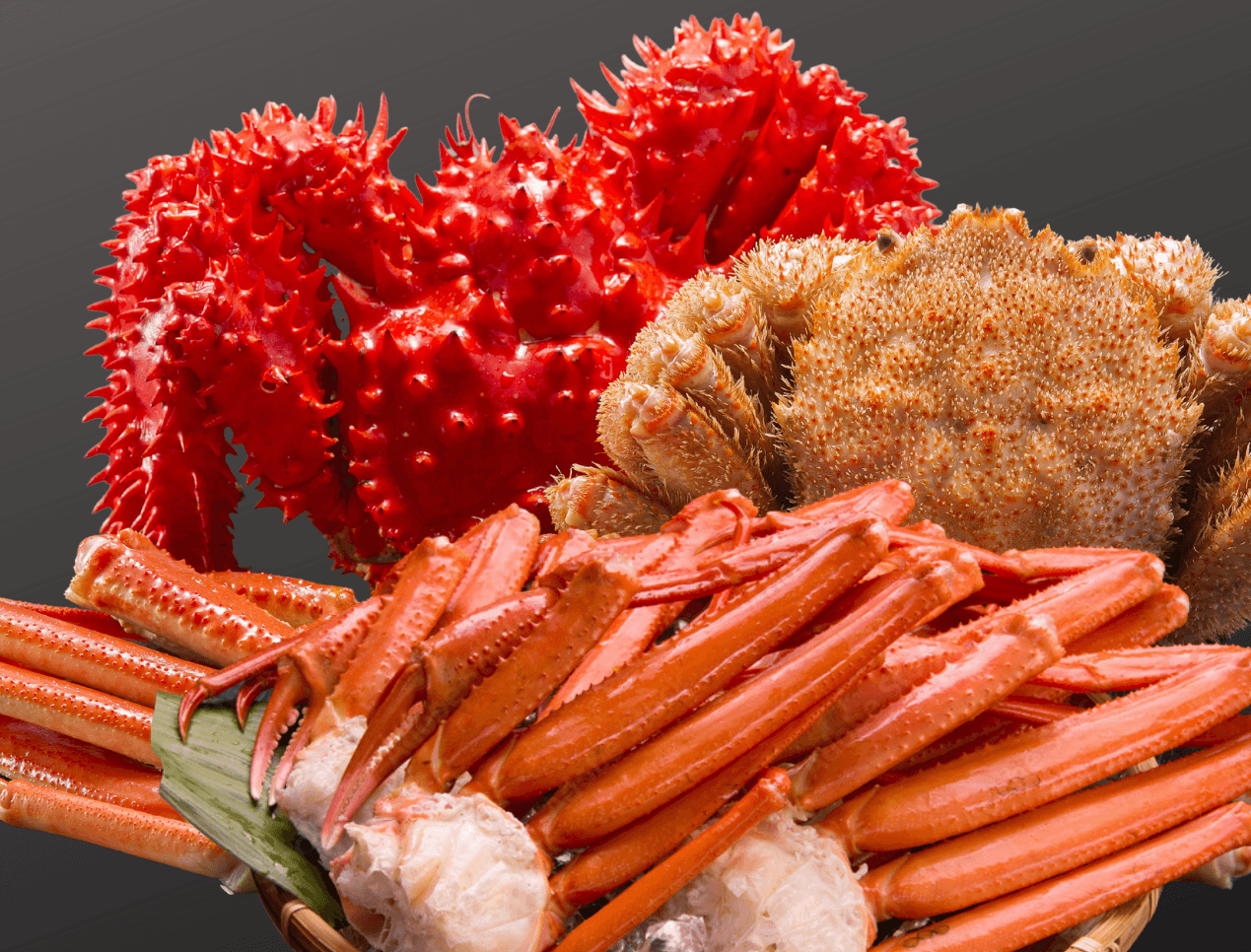 冬の味覚の王様”蟹”を思いっきり!