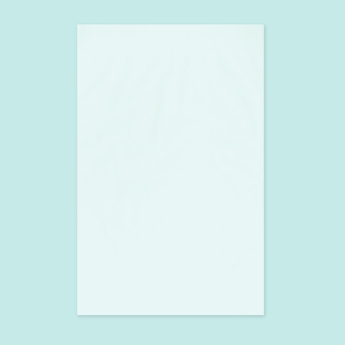 グラスパック 平袋 170mm幅　グラシン紙×グラシン紙(前面)