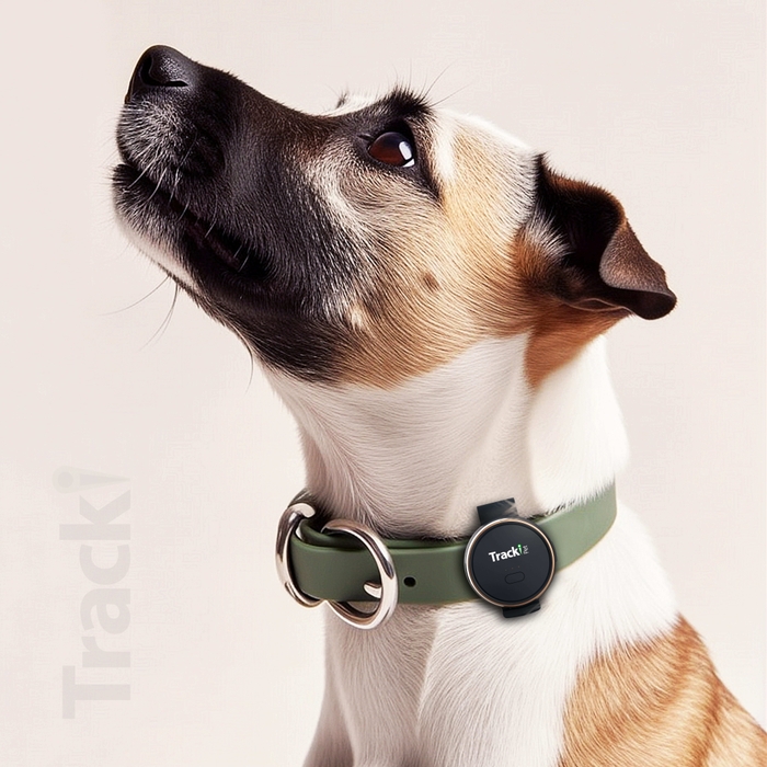 図4:TrackiPetの装着例2