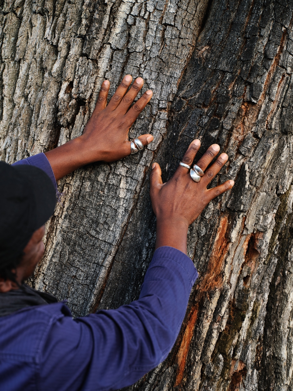 タイユーとワイナリー