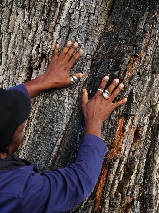 タイユーとワイナリー