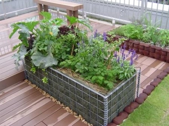 クラブエスタ主催イベント第4弾　夏満喫！絶景ポイントで屋形船から見る「隅田川花火大会」ツアー　先着30名様募集！