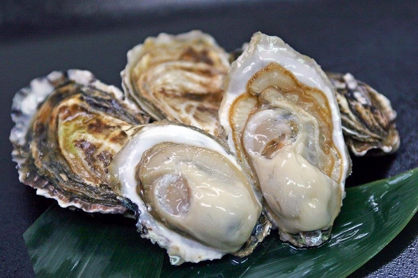 北海道・厚岸町が贈る究極の食旅！ 牡蠣×ウイスキー×クラフトビールが織りなす ガストロノミーツーリズムが誕生!!