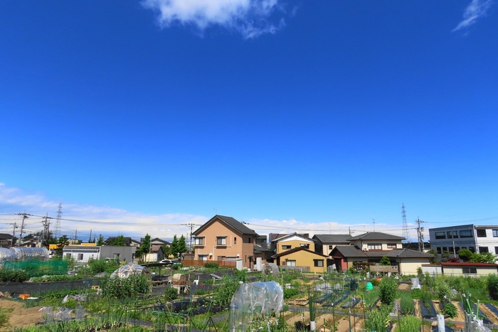 みんなの畑の会 しじま園