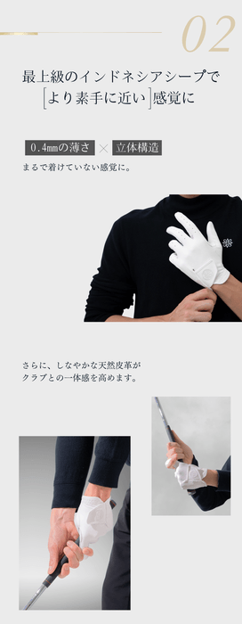 最上級のインドネシアンシープ