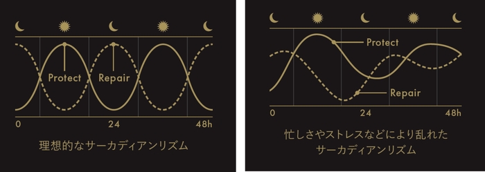サーカディアンリズム
