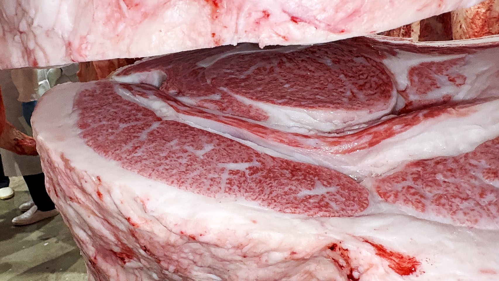 優秀賞を獲得した出品牛の断面