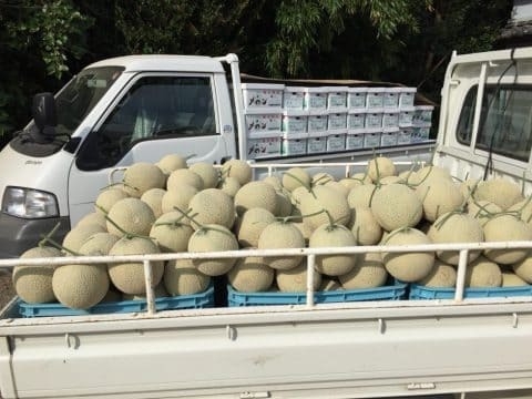 メロントラック市 ※写真はイメージです