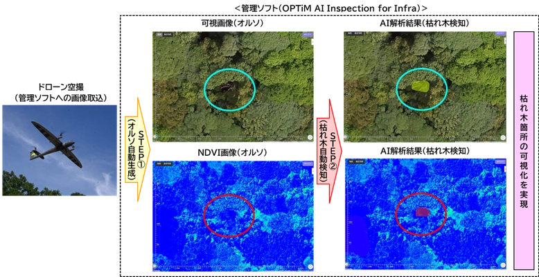 ドローンとAI解析技術を活用した「枯れ木検知AIサービス」を 新たに開発。枯れ木調査業務の高度化・効率化を目指します