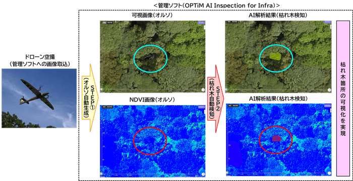 【機能(1)】可視画像とNDVI画像を活用した枯れ木AI検知