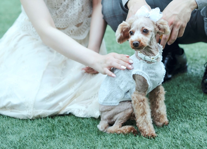 愛犬との同伴も可能