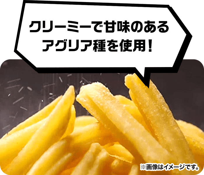 Xフライドポテト 販促画像