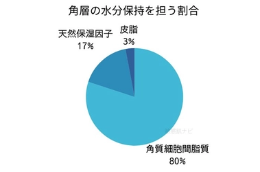 【脂漏性×敏感肌】におすすめの保湿ケア方法と化粧品選び