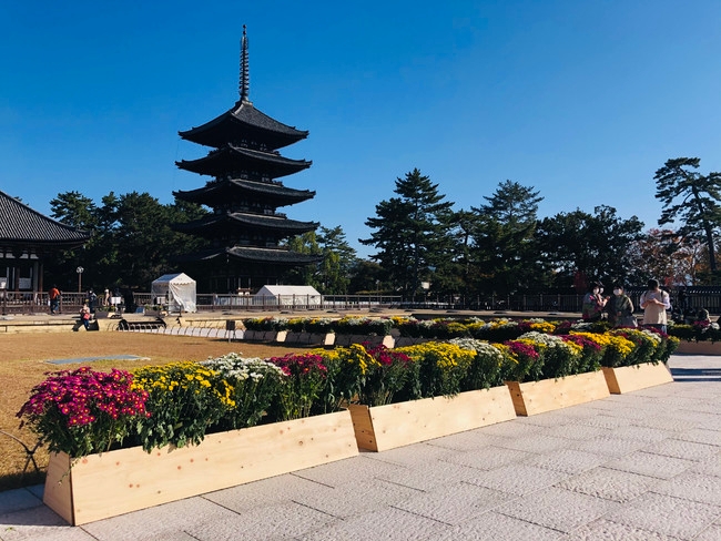興福寺(開催イメージ)