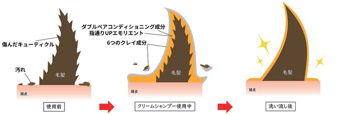 髪も頭皮も潤しながら汚れを落とす