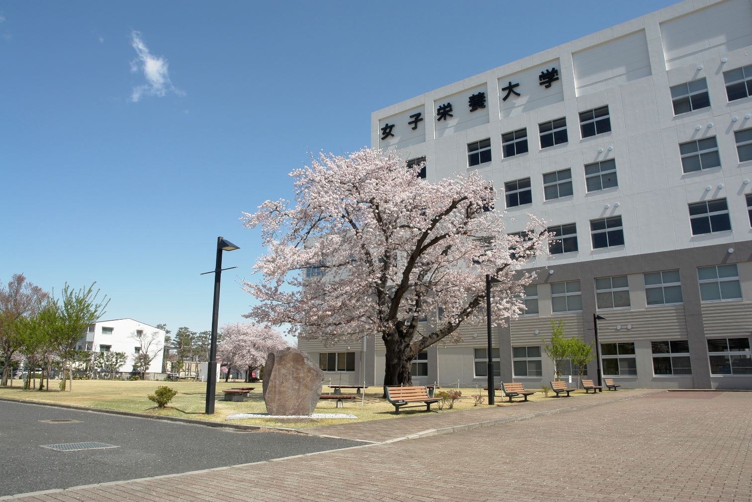 女子栄養大学 坂戸キャンパス