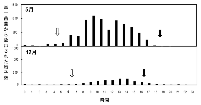 図2　静電気胞子回収装置を用いて20日目のイチゴうどんこ病菌の単一菌叢から回収された胞子数の測定