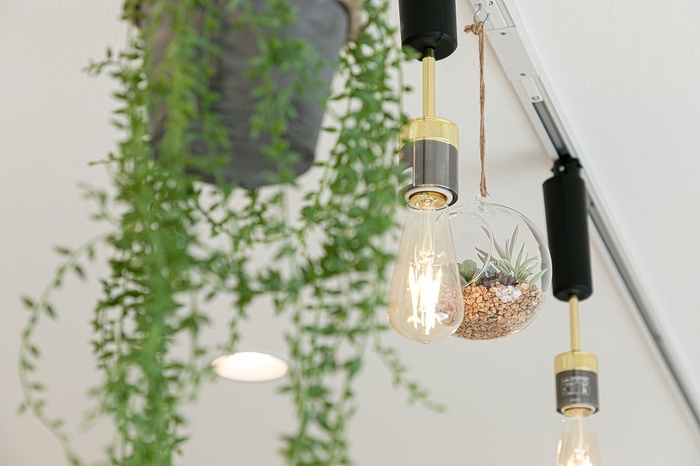 おしゃれなペンダントライトが標準装備になっています。(他室転用)