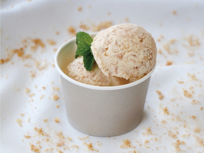 使用例 アイスクリーム(1)