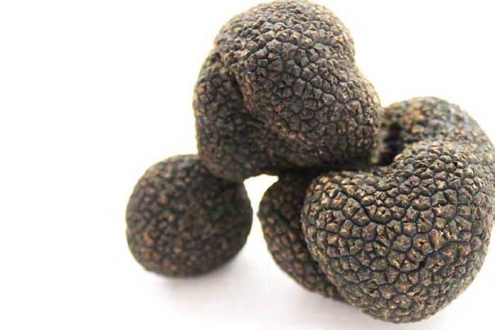 トリュフイメージ