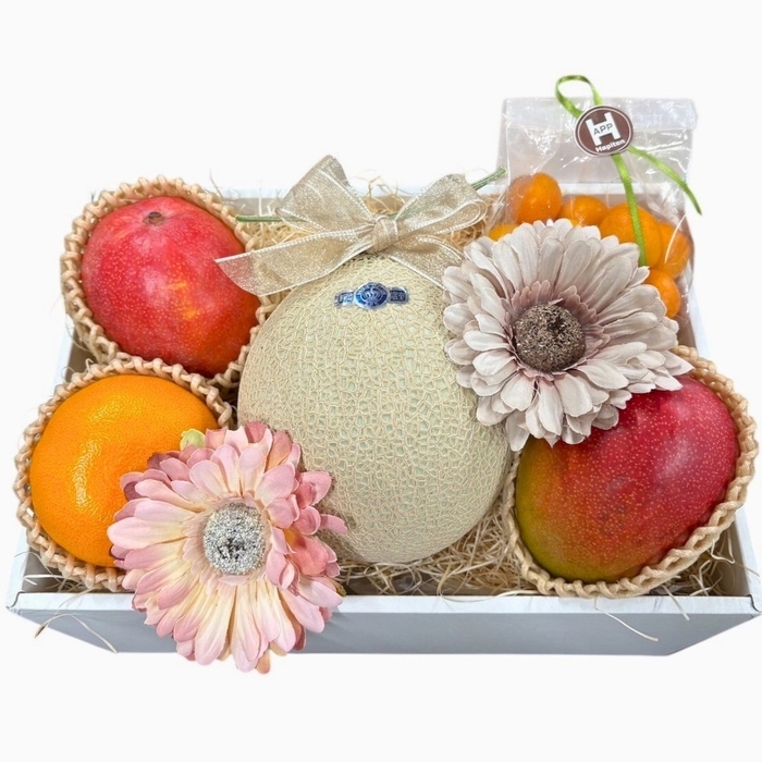 静岡県産マスクメロンと季節の果物が奏でる 旬果のアソート  - A - (2)