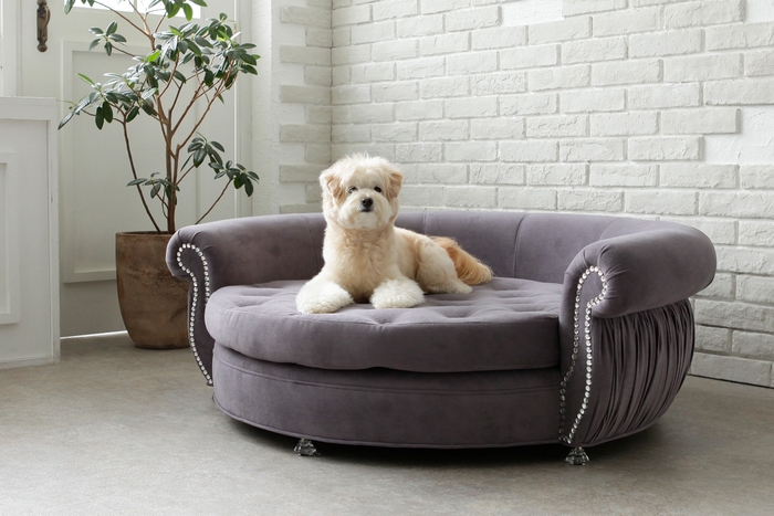 オートクチュールペットソファ4「Cuddle/カドル」