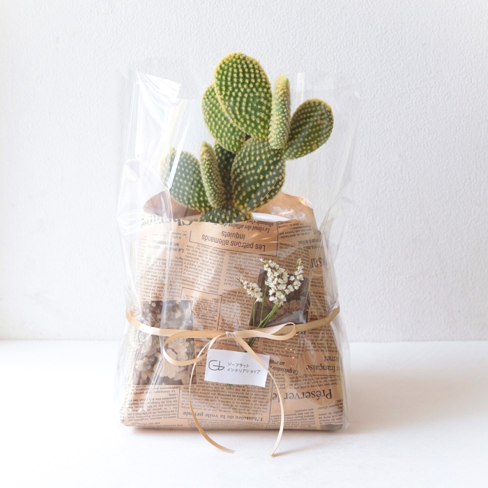 ラッピングも承ります(無料)