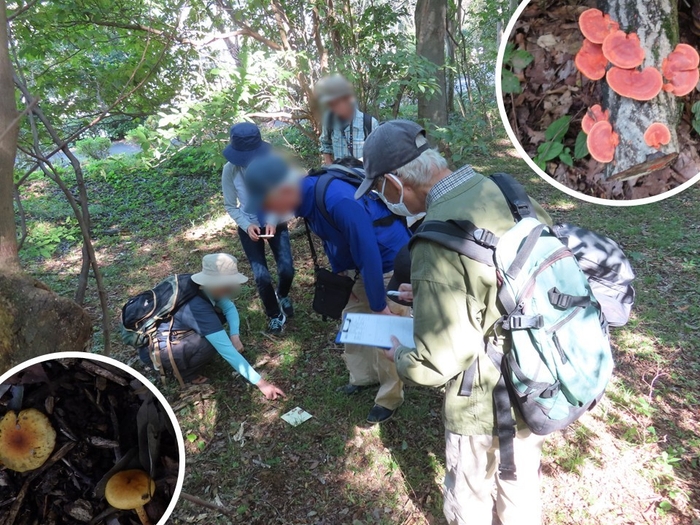 過去のキノコ観察会の様子