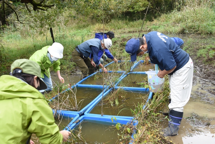 さあ、調査を始めます!