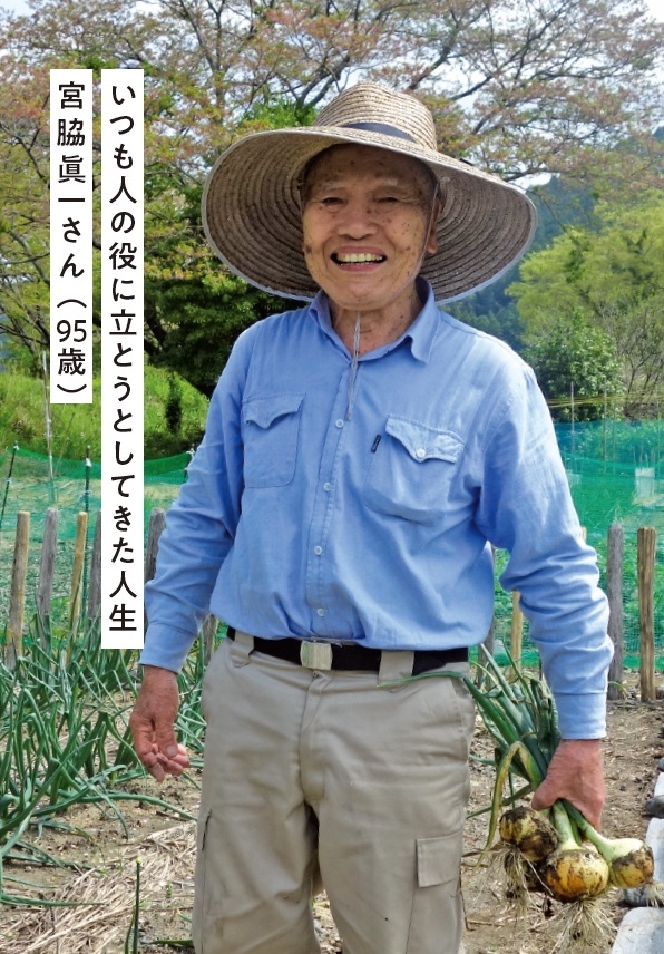 本文より