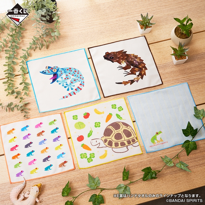 E賞:タオルコレクション(イメージ)